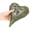 Corazón vegetal de material natural con inserto de lámina, 22 cm, 2 unidades | Floristik24.es