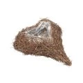 Planta corazón vid corazón planta cuenco natural Salim 21×20,5×6cm | Floristik24.es