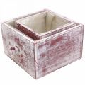 Floristik24 Caja de plantas cajón decorativo shabby chic rojo blanco juego de 2