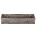 Bandeja rectangular compacta, de uso versátil para decoración y plantación, 23 cm. | Floristik24.es