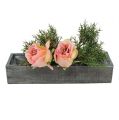 Floristik24 Caja vegetal de madera gris 30cm x 9.5cm x 6cm