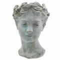 Floristik24 Busto de cabeza de planta de piedra fundida Al. 27 cm