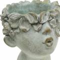 Floristik24 Busto de cabeza de planta moldeado en piedra Ø17.5cm H26cm