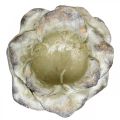 Floristik24 Flor de rosa para plantar, flores funerarias, rosa de piedra, decoración de hormigón gris, albaricoque, violeta Ø11cm L22cm H9cm