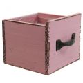 Floristik24 Cajón para plantas caja decorativa de madera para plantas rosa 12,5 cm
