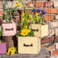 Floristik24 Cajón para plantas jardinera madera amarillo 12,5/16cm juego de 2