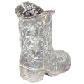 Botas de vaquero decorativas