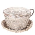 Floristik24 Taza con platillo decorativa tipo cesta, decoración de mesa grande de 34 cm.