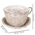 Taza con platillo decorativa tipo cesta, decoración de mesa grande de 34 cm. | Floristik24.es