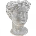 Floristik24 Busto de maceta cabeza de planta blanca lavada hormigón Ø10cm H21cm