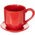 Taza decorativa grande con platillo, apta como maceta, 17 cm. | Floristik24.es