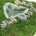 Cojín vegetal corazón musgo y conos, blanco lavado 25 × 25cm