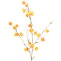 Floristik24 Planta artificial de farolillo chino, rama de Physalis con flores, 95 cm