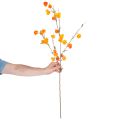Planta artificial de farolillo chino, rama de Physalis con flores, 95 cm | Floristik24.es