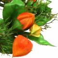 Corona de Physalis artificial, naranja y verde, Ø28cm, decoración otoñal | Floristik24.es