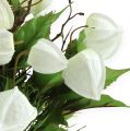 Floristik24 Physalis bush blanco 30cm