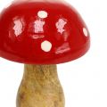 Floristik24 Toadstool de madera rojo 15,5cm