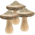 Floristik24 Corteza de champiñón de madera y champiñones decorativos brillantes madera H11cm 3pcs
