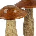 Floristik24 Hongo mango madera marrón, naturaleza decoración de mesa otoño Ø9cm H12cm 2ud