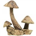 Floristik24 Grupo de setas, madera de paulownia, decoración otoñal, escultura de madera Al 33cm L30cm