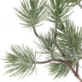 Floristik24 Rama navideña rama decorativa rama pino nevada 77cm