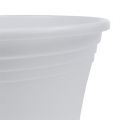 Floristik24 Maceta de plástico “Irys” blanco Ø17cm H14cm, 1ud