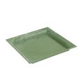 Floristik24 Plato de plástico cuadrado verde 19,5cm x 19,5cm