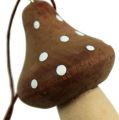 Floristik24 Toadstool Seta de madera para colgar Marrón 6cm 4pcs