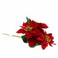 Floristik24 Ramo de flor de pascua terciopelo rojo 35cm