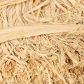 Manojos de rafia natural para floristería y envoltura de regalos, 1 kg | Floristik24.es