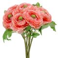 Floristik24 Ranunculus Rosa-Rosa 27cm 8pcs
