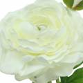 Floristik24 Ranúnculo de flores artificiales con flor y capullo blanco H34cm