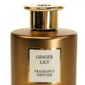 Floristik24 Difusor de fragancias para ambientes, barritas aromáticas Ginger Lily 150ml