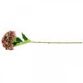 Floristik24 Hortensia rosa artificial, burdeos flor artificial grande 80cm
