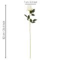 Rosas artificiales de tallo largo para jarrón, 62 cm, 12 unidades. | Floristik24.es