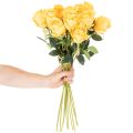 Rosa artificial de tallo largo, flor artificial, 62 cm, 12 unidades | Floristik24.es