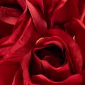 Rosa artificial de tallo largo, flor artificial roja, 62 cm, 12 unidades. | Floristik24.es