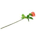 Floristik24 Rosa flor artificial salmón 67,5cm
