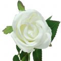 Floristik24 Rosa blanco 44cm para decoración 6pcs