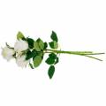 Floristik24 Rosa blanca en un tallo Flor de seda Rosa artificial 3 piezas