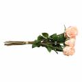 Floristik24 Ramo de rosas artificiales albaricoque 8pcs