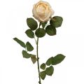 Floristik24 Rosa color crema, flor de seda, rosa artificial L74cm Ø7cm