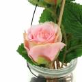 Floristik24 Rosa en el cristal rosa H23cm