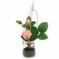 Floristik24 Rosa en el cristal rosa H23cm