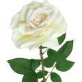 Floristik24 Flor de seda, rosa con tallo, planta artificial blanco cremoso, rosa L72cm Ø13cm