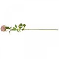 Floristik24 Rosa decorativa rosa, decoración floral, rosa artificial L74cm Ø7cm