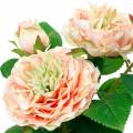 Floristik24 Rosa decorativa en maceta, flores de seda románticas, peonía rosa