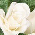 Guirnalda de rosas