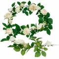 Floristik24 Guirnalda de rosas románticas, flor de seda, vid de rosas artificiales, 160cm