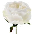 Floristik24 Rosa flor blanca 17cm 4pcs